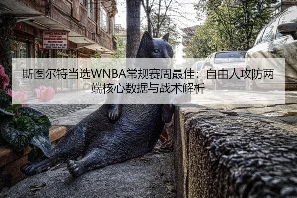 斯图尔特当选WNBA常规赛周最佳：自由人攻防两端核心数据与战术解析